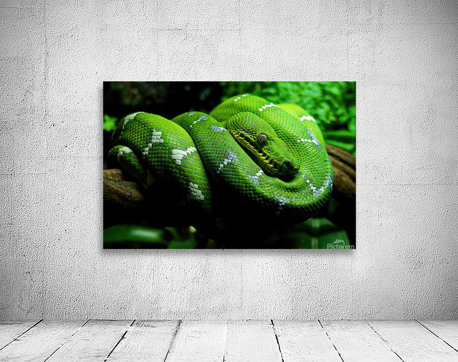Danger Noodle Wall Preview