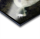 White peacock Acrylic print