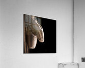 Pointe Shoes Acrylic Print