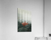Umbrellas Acrylic Print