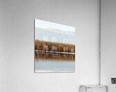Trees reflected in water Acrylic Print