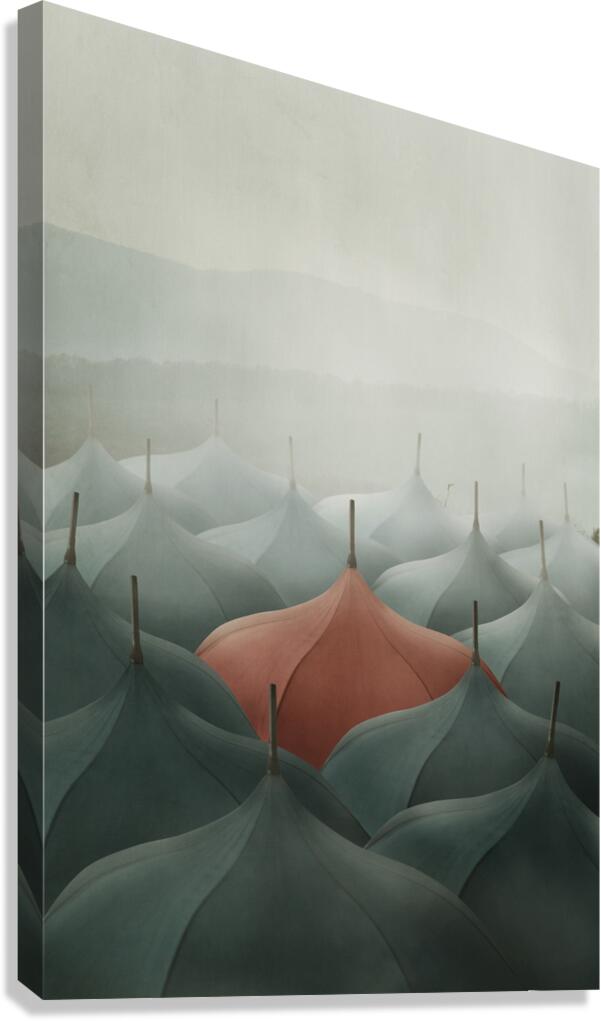Umbrellas Canvas Print