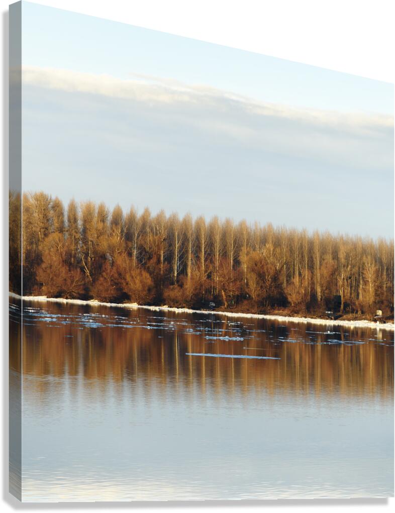 Trees reflected in water Canvas Print