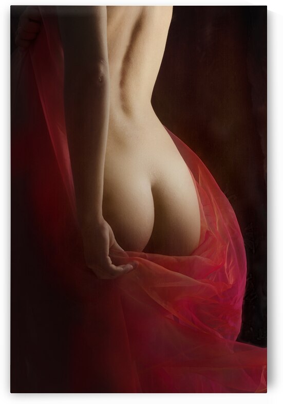 Fine art nude - female body in red silk from behind by Jelena Jovanovic Fine Art