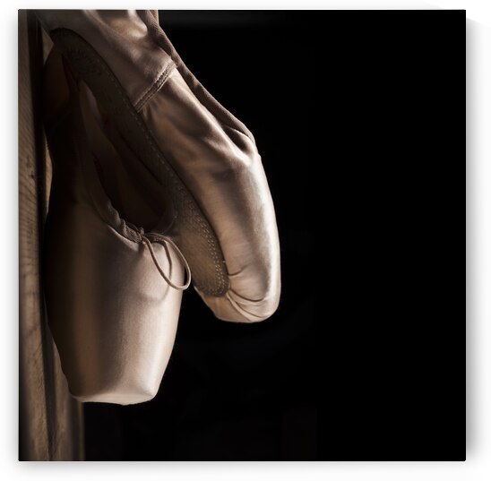 Pointe Shoes by Jelena Jovanovic Fine Art
