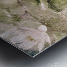 Water Lily Metal print
