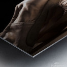 Pointe Shoes Metal print