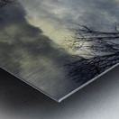 Haunted House Metal print