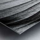 Abstract botanical pattern of tropical calathea leaf Metal print