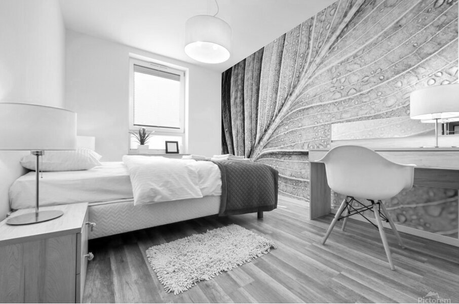 Abstract botanical pattern of tropical calathea leaf Mural print