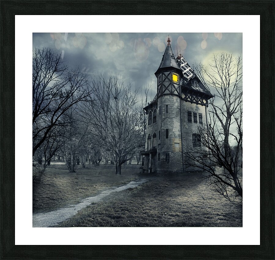 Haunted house Picture Frame print
