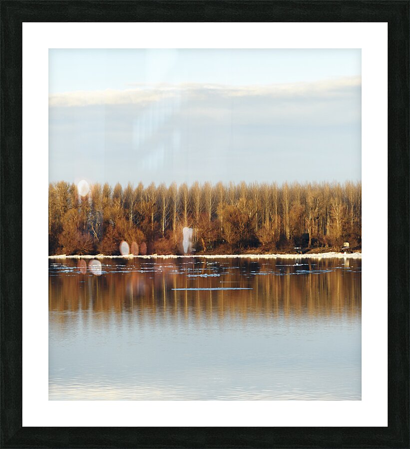 Trees reflected in water Picture Frame print