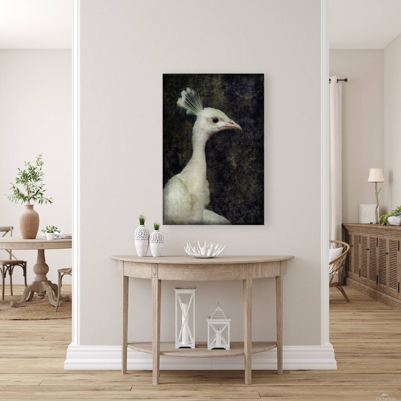 White peacock Reproduction