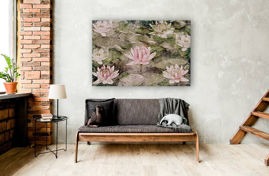 Water Lily Reproduction