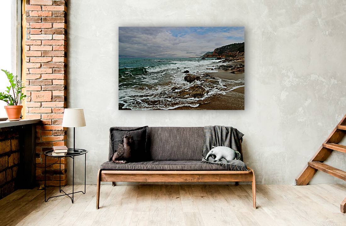 Sea Shore Reproduction