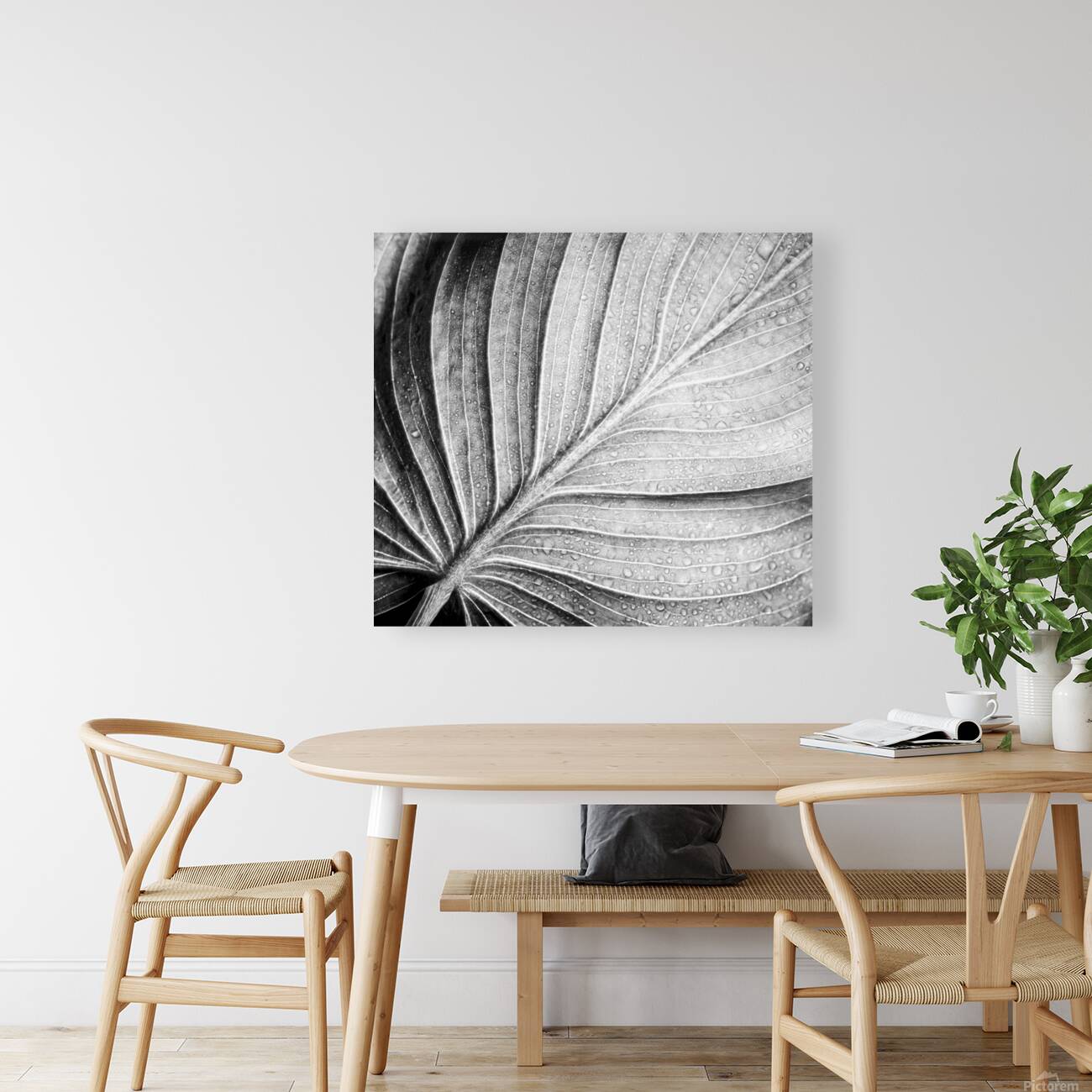 Abstract botanical pattern of tropical calathea leaf Reproduction