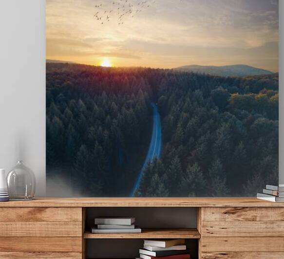 Beautiful sunset above dark fir forest from above. by Jelena Jovanovic Fine Art