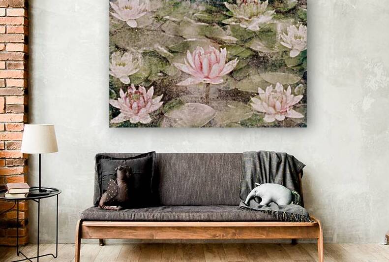 Water Lily Reproduction