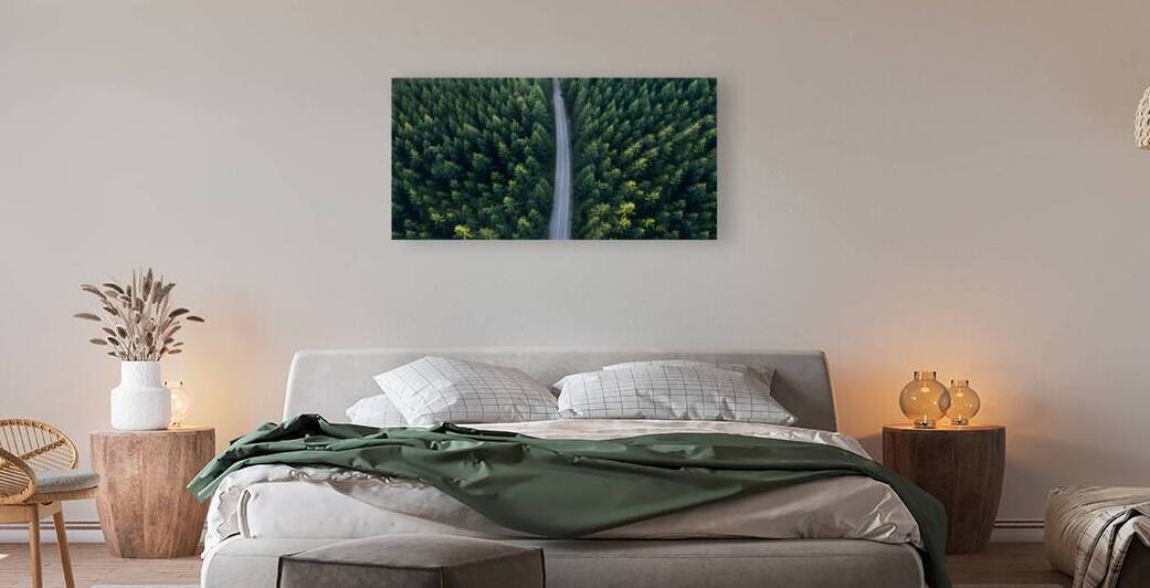 Top view of dark green forest landscape  by Jelena Jovanovic Fine Art