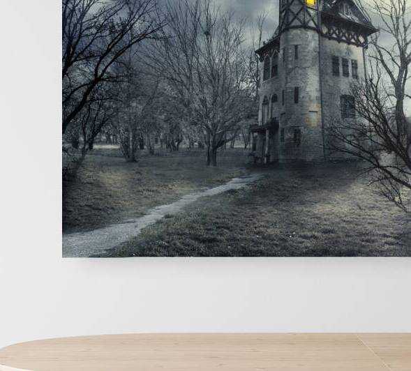 Haunted house by Jelena Jovanovic Fine Art