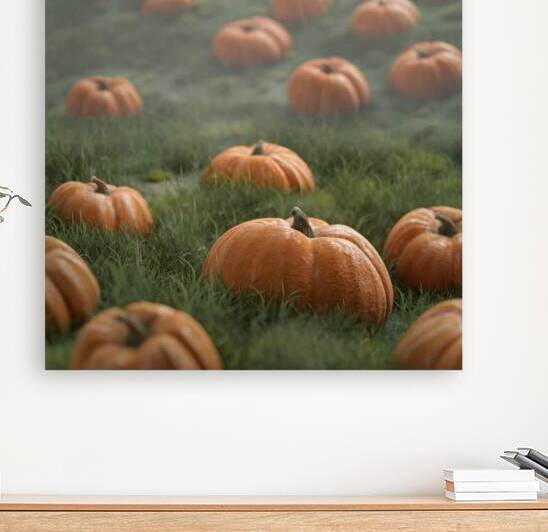 Pumpkin field in autumn season.  by Jelena Jovanovic Fine Art