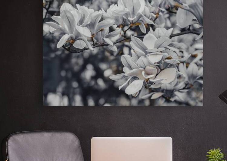 Magnolia Flowers in Soft Hues by Jelena Jovanovic Fine Art