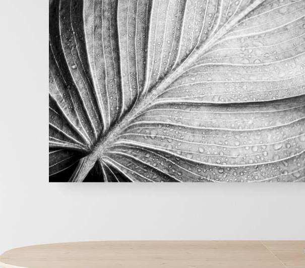 Abstract botanical pattern of tropical calathea leaf by Jelena Jovanovic Fine Art
