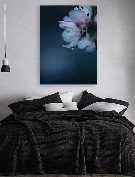 Beautiful apple blossom flower on branch. Soft blue floral bud with dewdrop closeup  fine art photo. by Jelena Jovanovic Fine Art