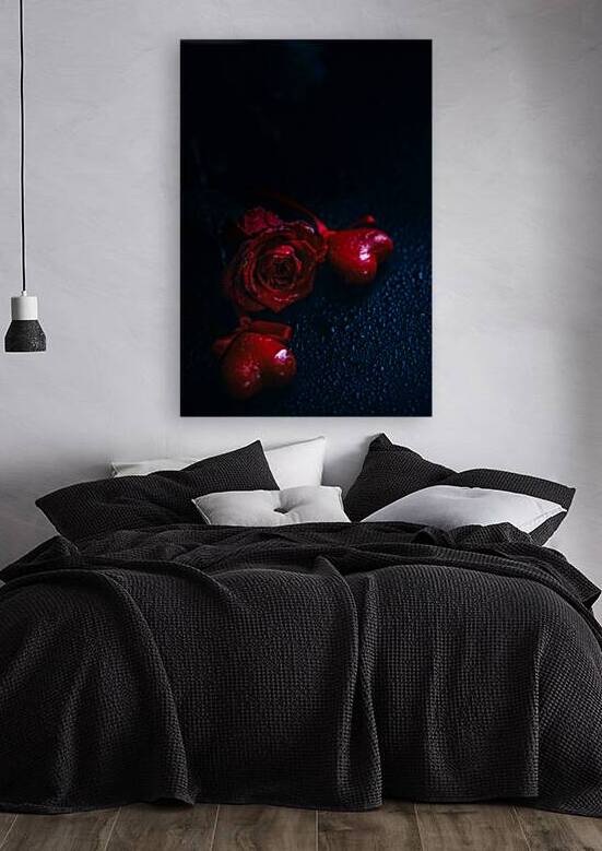 Romantic Valentines day rose and love hearts on rain by Jelena Jovanovic Fine Art