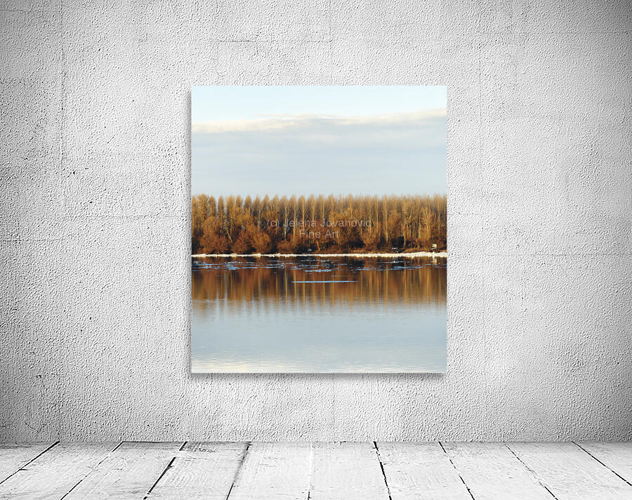 Trees reflected in water Wall Preview