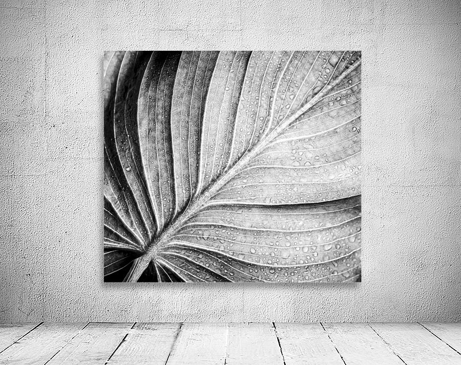 Abstract botanical pattern of tropical calathea leaf Wall Preview