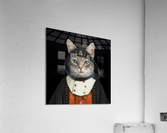 Gato com roupa medieval Acrylic Print