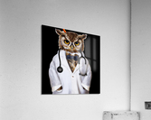Coruja doutora Acrylic Print