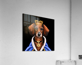 Cachorro com roupa medieval e coroa Acrylic Print