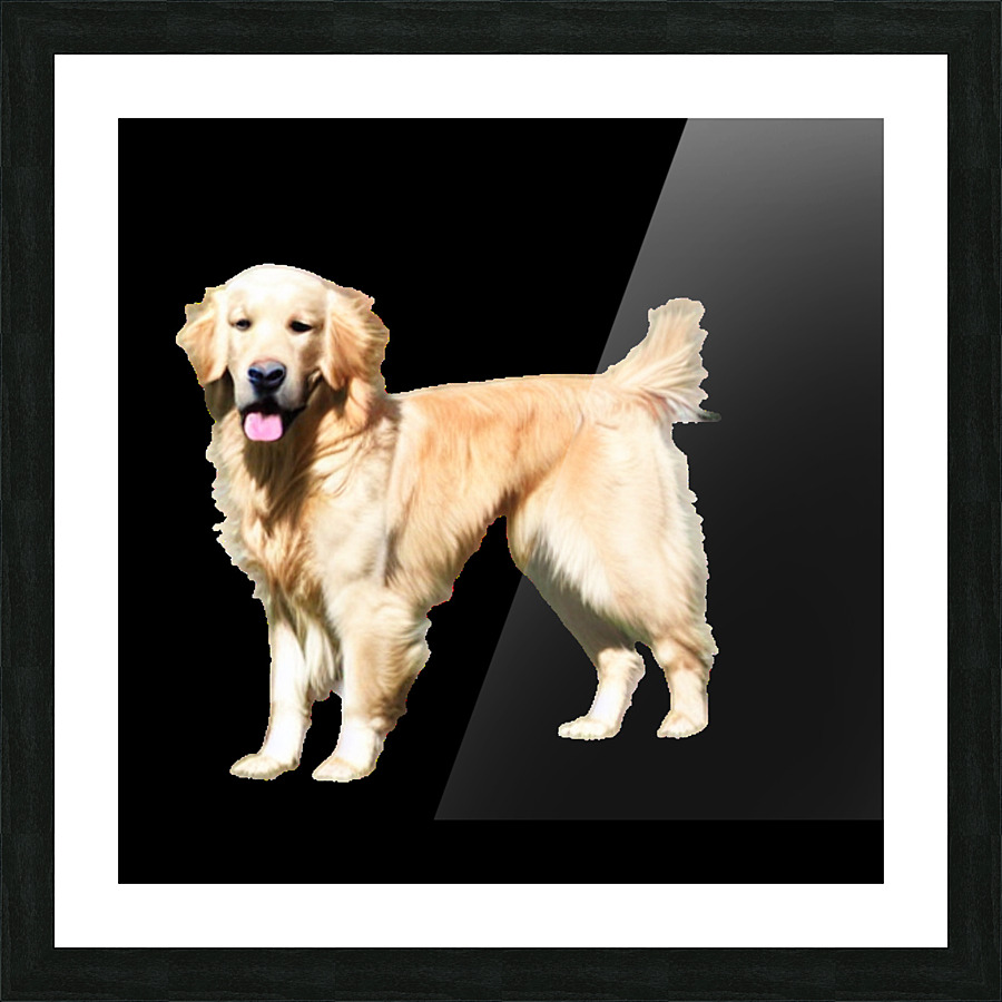 Cachorro Picture Frame print