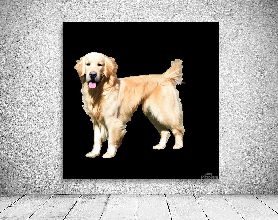 Cachorro Wall Preview