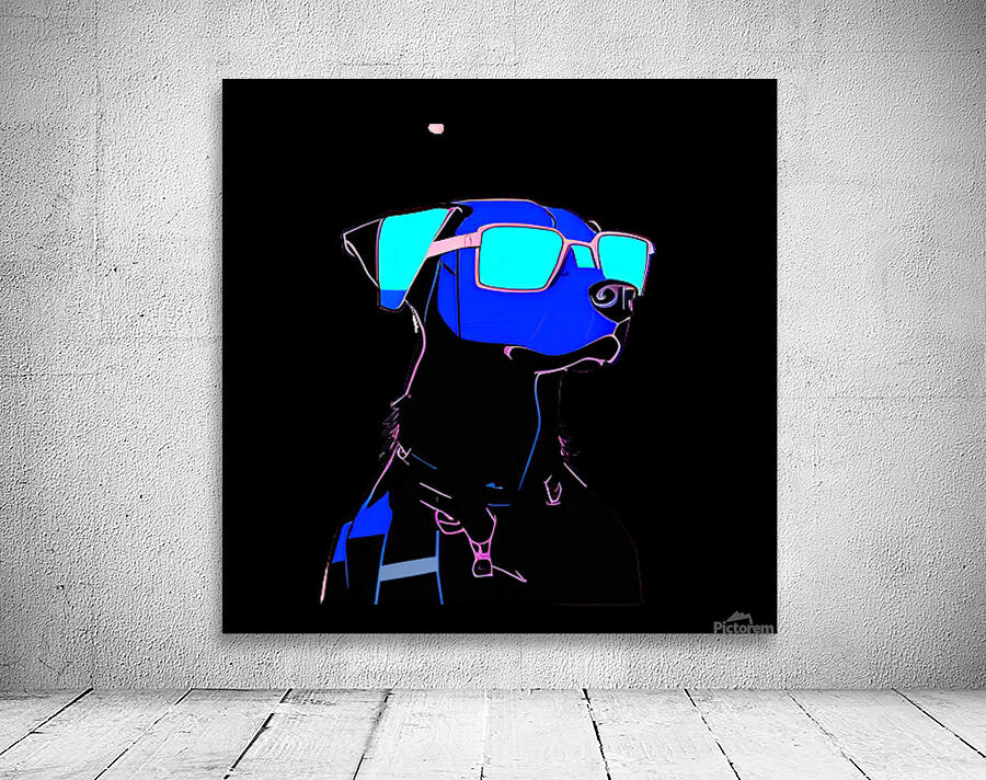 Cachorro com oculos azul Wall Preview