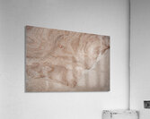 Artefact saumon Acrylic Print
