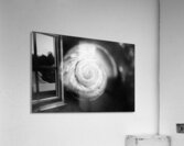 Coquille 1 Acrylic Print