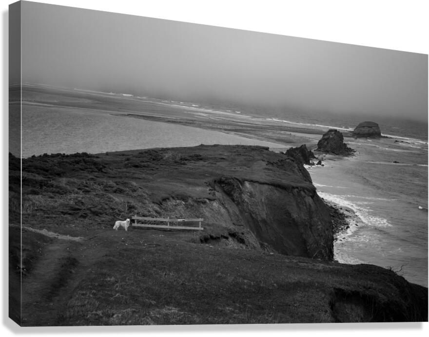 Erosion aux Iles Canvas Print