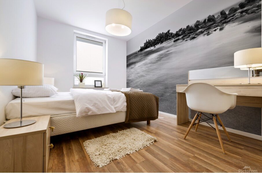 Dollos Mural print