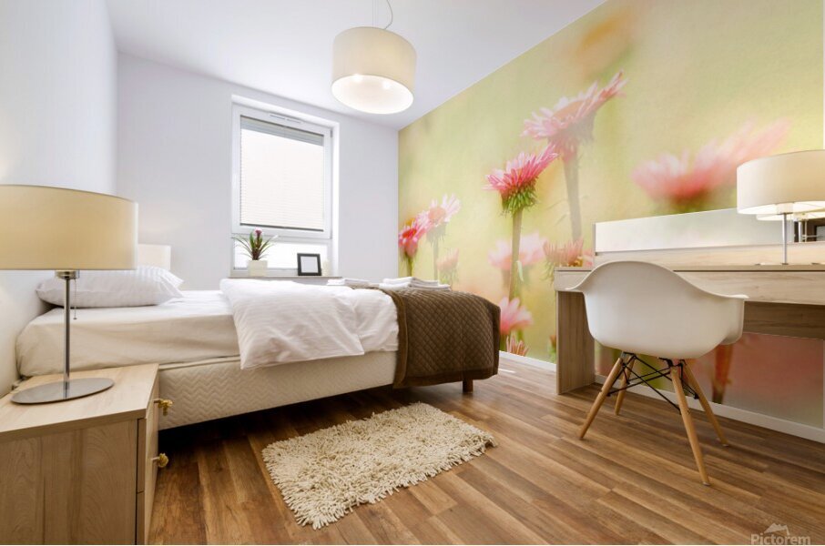 Echinacea Mural print