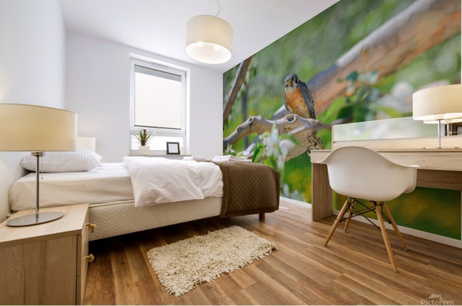 Crecerelle Mural print