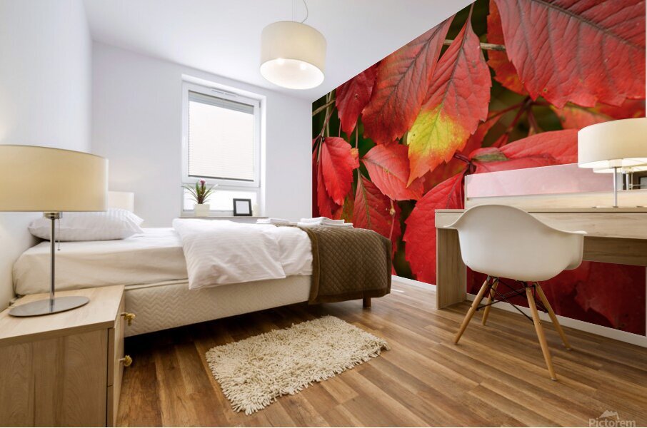 Automne rouge Mural print