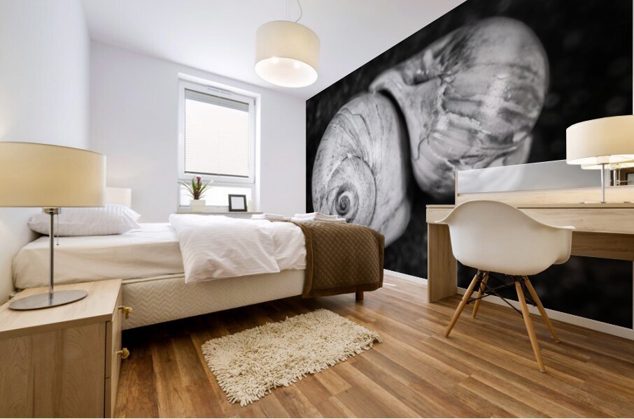 Coquillages Mural print