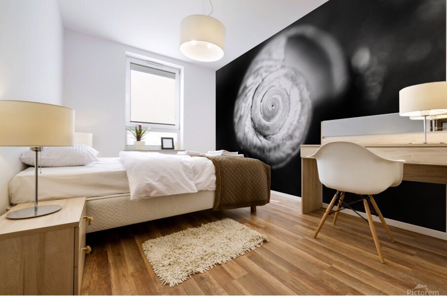 Coquille 1 Mural print