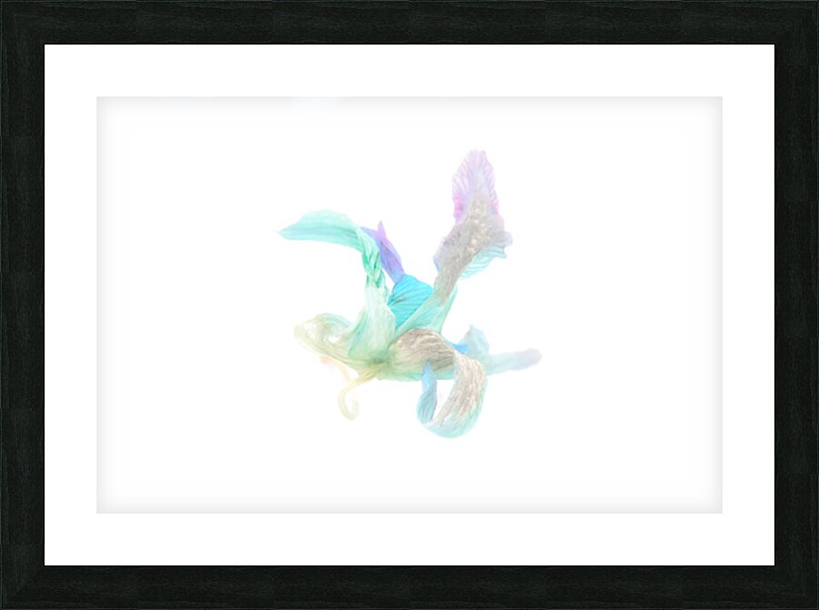 Parfum de fleur Picture Frame print