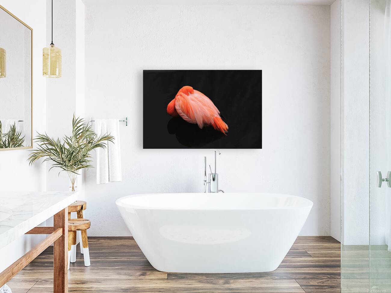 Flamant rose Reproduction