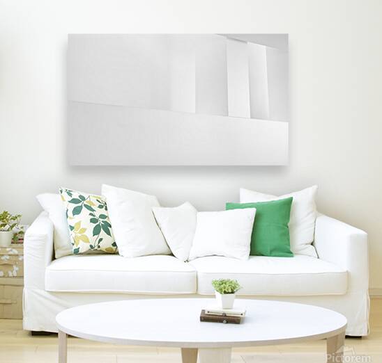 Variation sur le blanc Reproduction