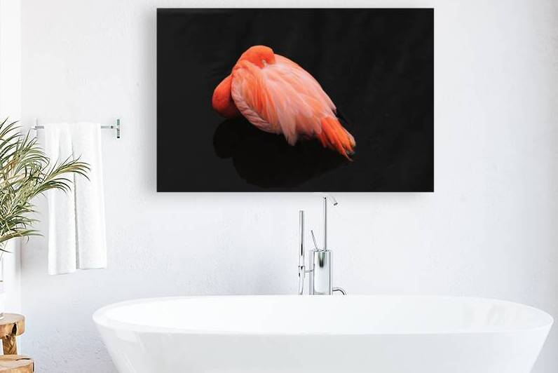 Flamant rose by Alain Charest